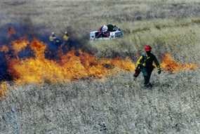 Setting a prescribed burn. Setting a prescribed burn.