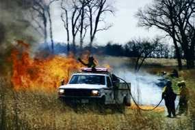 Prescribed burn. Prescribed burn.