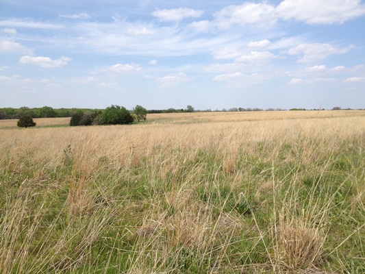 Adjacent prairie land