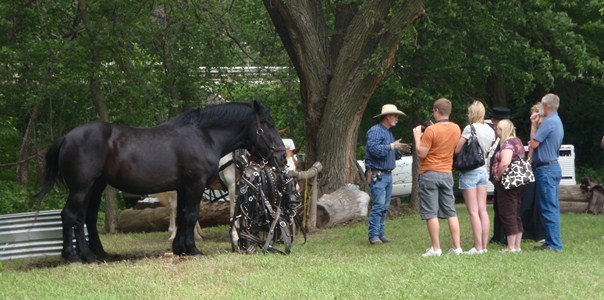 Homestead Days demonstrations