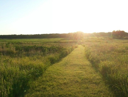 Prairie trails