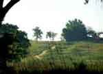 Hiking trail at Homestead National Historical Park through green prairie.
