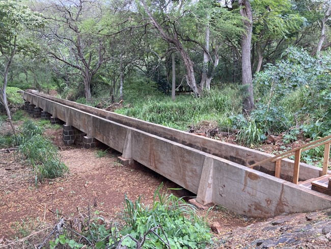 Historic Aqueduct