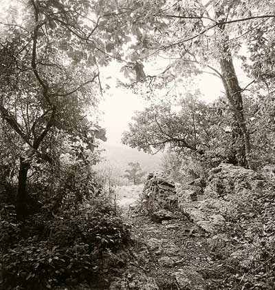 Black and white photo looking out from top of trail at Goat Rock; foliage surrounds three sides with a central opening to faintly see a mountain in the distance. Black and white photo looking out from top of trail at Goat Rock; foliage surrounds three sides with a central opening to faintly see a mountain in the distance.