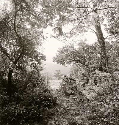 Black and white photo looking out from top of trail at Goat Rock; foliage surrounds three sides with a central opening to faintly see a mountain in the distance.