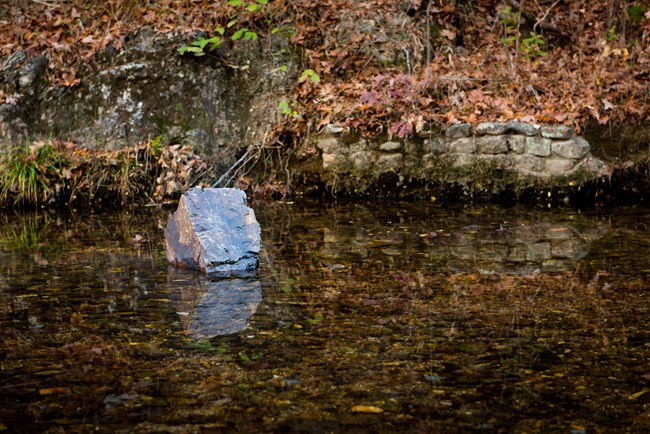 Large rock sitting in creek surrounded by trees