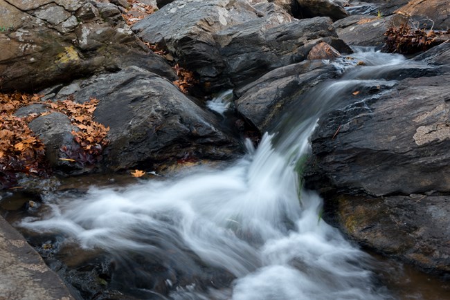 Water flowing through rocky creek with forested background
