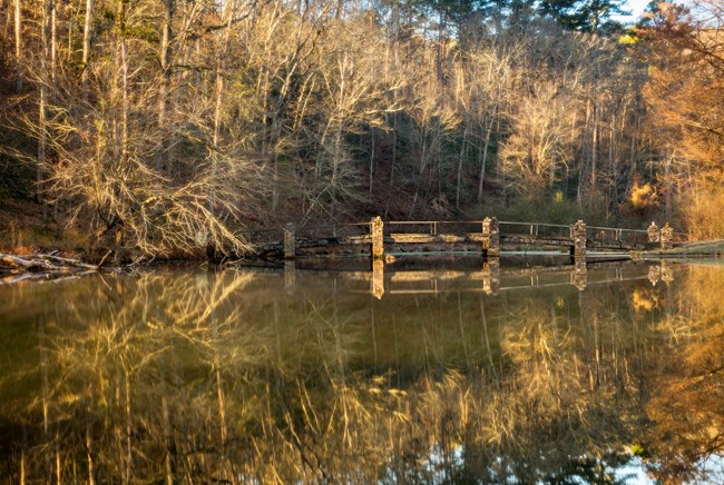 Bridge over pond with forested background