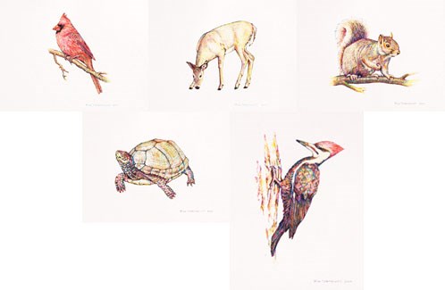 Composite of Rod Northcutt animal paintings, cardinal, deer, squirrel, turtle, pileated woodpecker