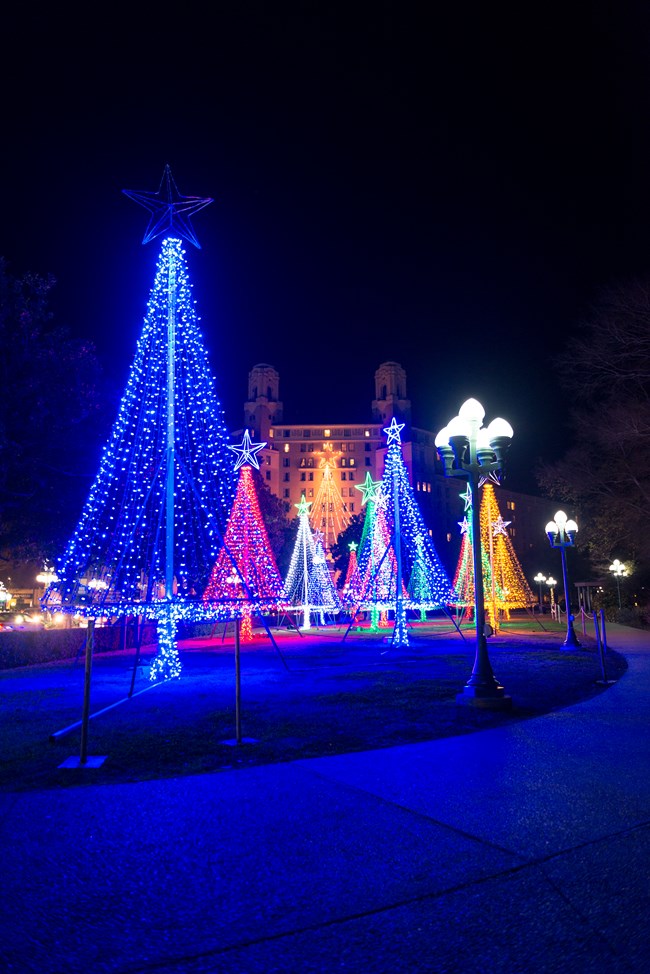 Tree lights along a sidewalk at night