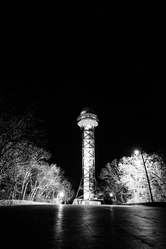 Black and white photo of the mountain tower and trees at night