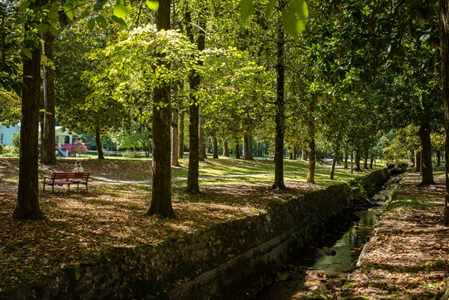 A woman sitting on a bench along a deep creek