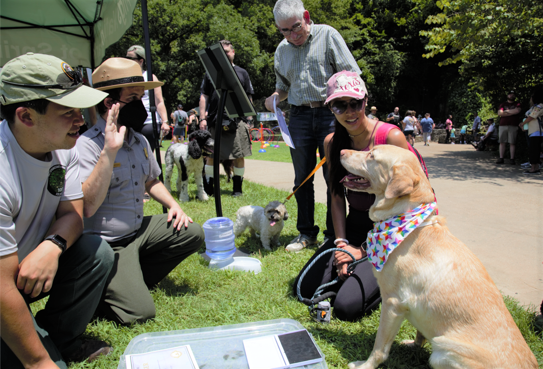 A Park Ranger in uniform is kneeling and holding up a hand to swear in a golden retriever dog and a smiling woman who is their owner as Bark Rangers. An old man and volunteer watch. There is a certificate on the ground in front of the dog.