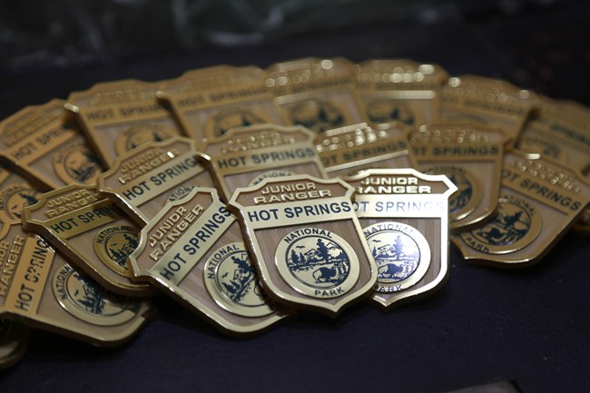 Eighteen shiny gold Hot Spring Junior Ranger Badges in a fan formation.