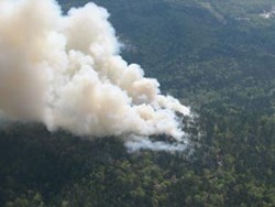 aerial view of fire from almost directly overhead with wind blowing plume of smoke to the upper left of the photo