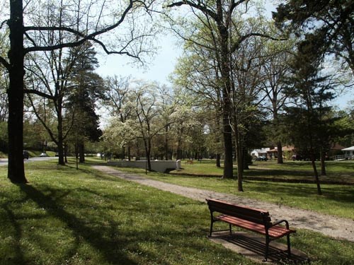 gravel path with green grass and trees on both sides, red park bench in foreground. gravel path with green grass and trees on both sides, red park bench in foreground.