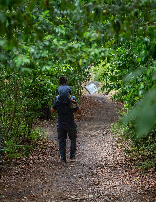 A child is carried on an adult's shoulders on a gravel trail through the woods.