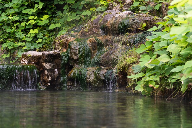 Thermal water flows over tufa rock and green algae.