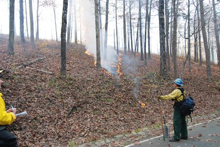 Fire crew performing a prescribed burn on a hill.