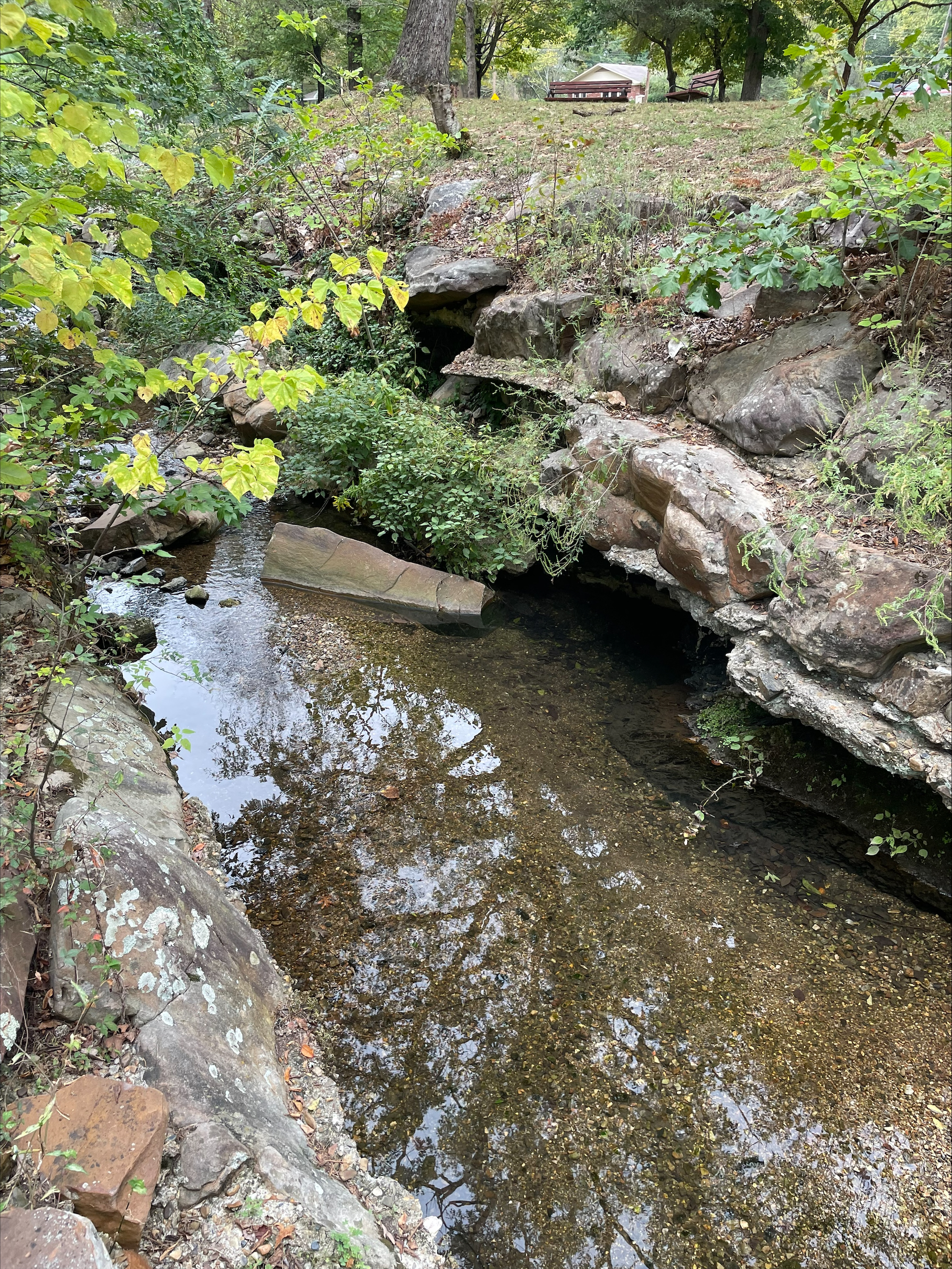 Looking down into a creek, there are large rocks falling off of the bank and into the water.