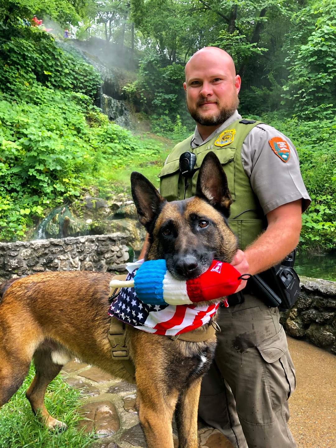 A brown dog holds a red, white, and blue popsicle toy in his mouth. A fully uniformed law enforcement park ranger stands behind him.