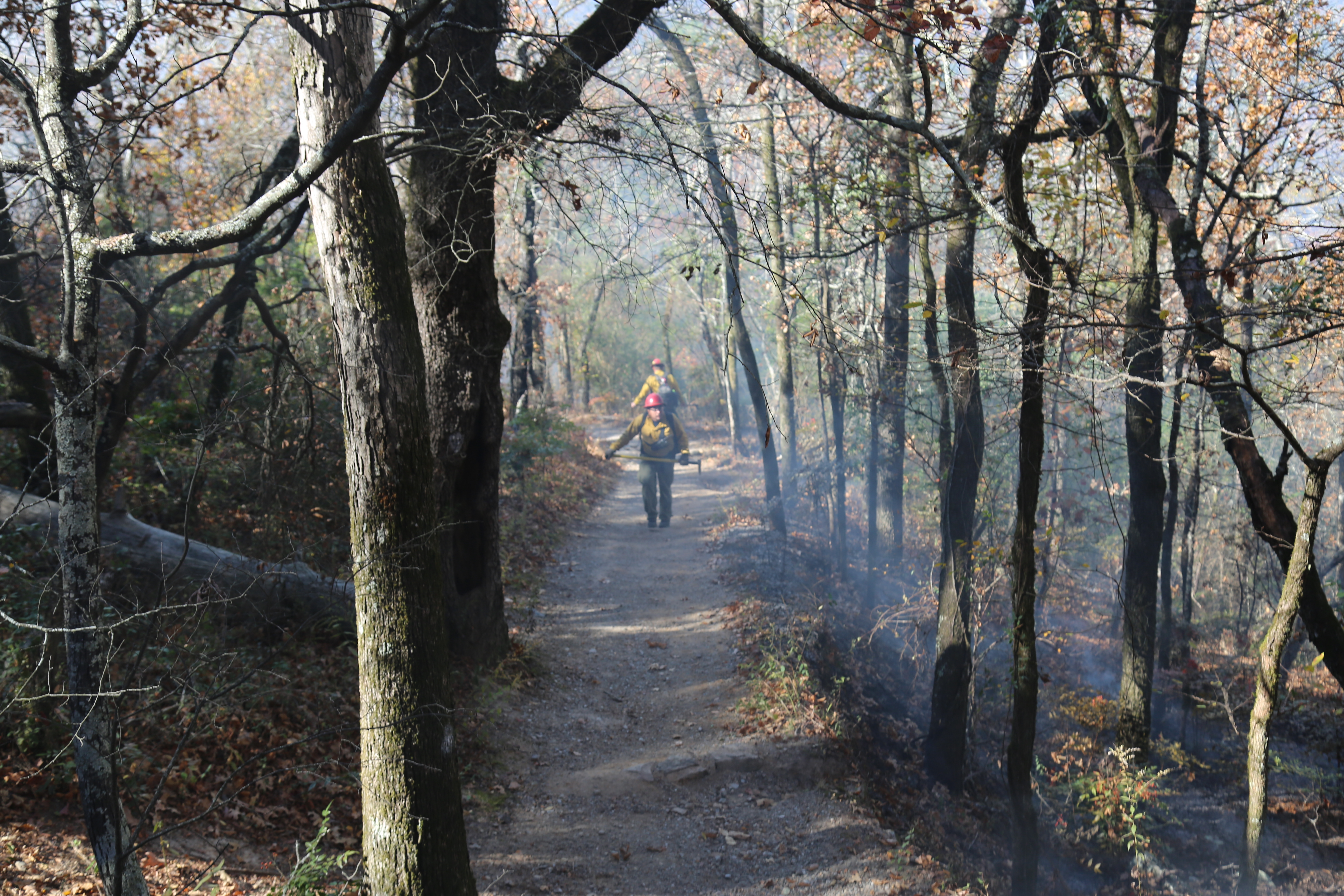 Two people in matching yellow shirts, red hard hats, and green pants walk in opposite directions on a smoky forested trail.