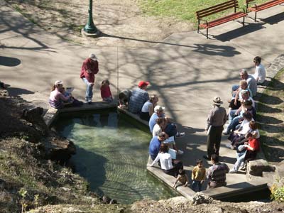 view from hillside looking down on pool where people are sitting listening to park ranger