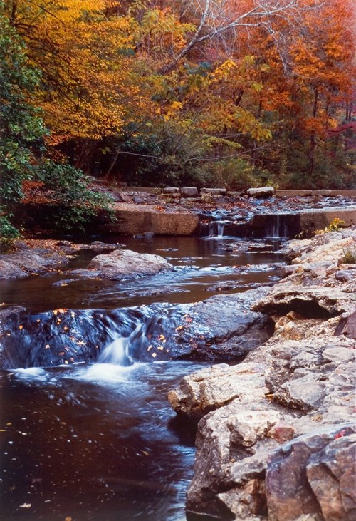 Photo of Gulpha Creek with small fall in the right foreground, brownish rocks on the sides and orange to orange-red colored trees in the background. The creek itself looks dark with highlights showing water movement in the center.
