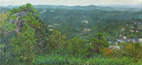 View from Hot Springs Mountain overlook, showing city buildings on the right, trees in the left foreground and green hillsides in the background.