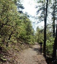 Gravel path going slightly uphill, with small trees on both sides of trail; small brown trail sign is on right. Gravel path going slightly uphill, with small trees on both sides of trail; small brown trail sign is on right.