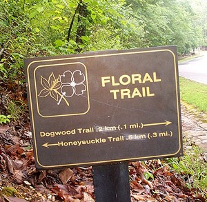 Floral Trail sign, dark brown metal with gold lettering Floral Trail sign, dark brown metal with gold lettering