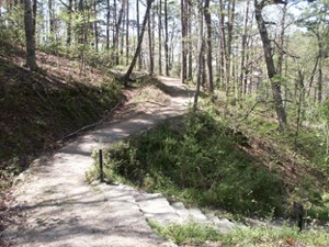 View of a wooded graveled trail with steps leading downhill on the right. View of a wooded graveled trail with steps leading downhill on the right.