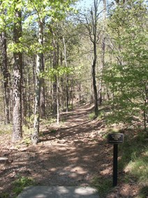 Shady wooded trail in spring, dead leaves covering trail, small brown trail sign on lower right. Shady wooded trail in spring, dead leaves covering trail, small brown trail sign on lower right.