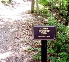 color photo of Lower Dogwood Trail junction sign. Sign is made of dark brown metal with gold lettering color photo of Lower Dogwood Trail junction sign. Sign is made of dark brown metal with gold lettering