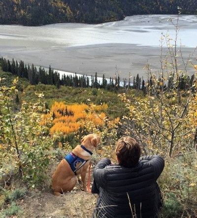 A service dog and its owner sit in a field of flowers overlooking a mountain vista.