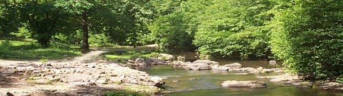 Creek flowing from lower right side of photo with rocky bank on lower left; creek is flanked on opposite side by green trees and shrubs. A trail crosses the creek on the left side of the photo. Creek flowing from lower right side of photo with rocky bank on lower left; creek is flanked on opposite side by green trees and shrubs. A trail crosses the creek on the left side of the photo.