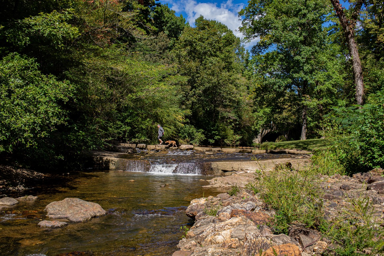 A woman and her dog crossing a creek