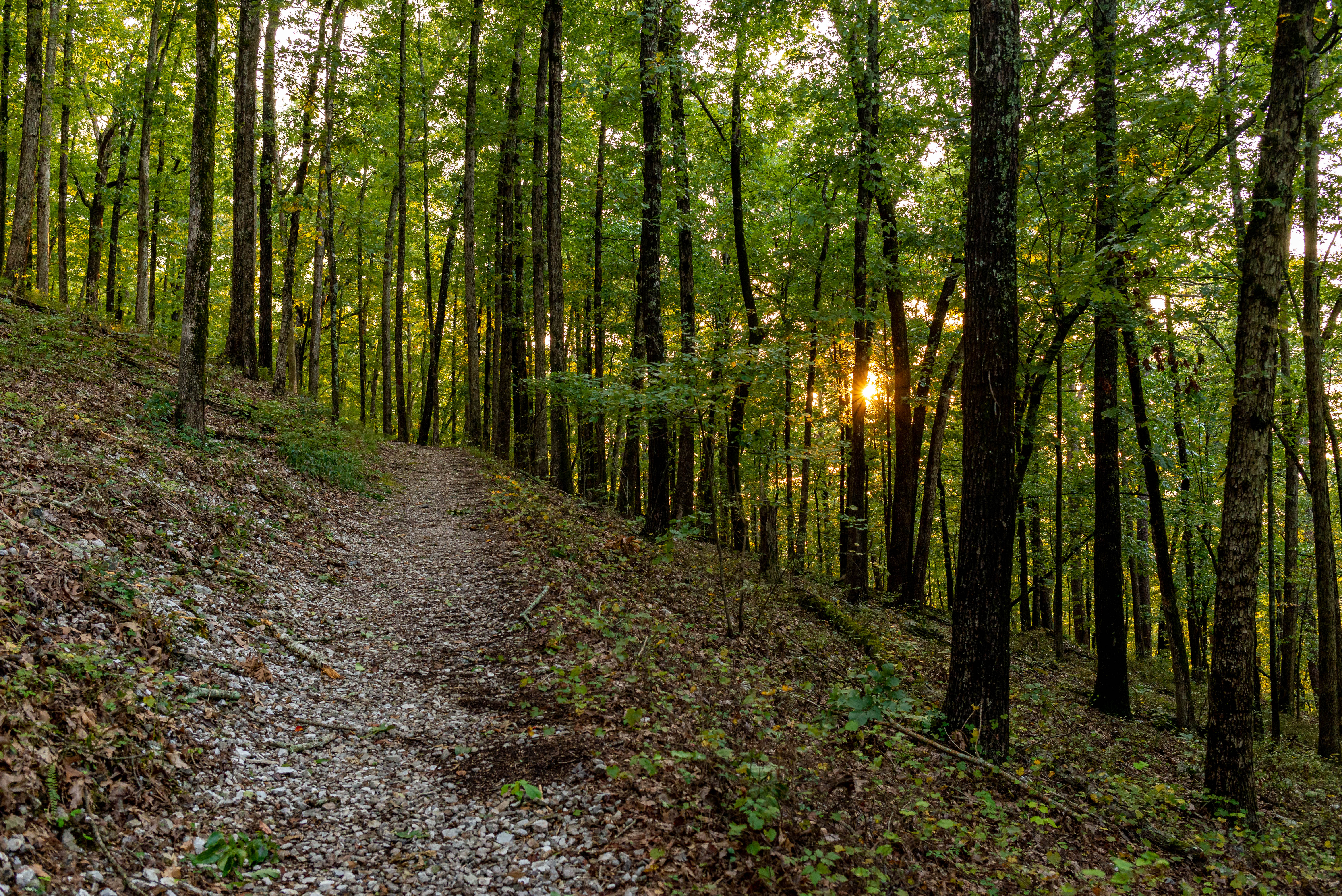 sunset trail camp