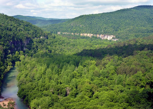 Scenic view of the Buffalo National River. The water snakes its way through rolling hills and dense forests.