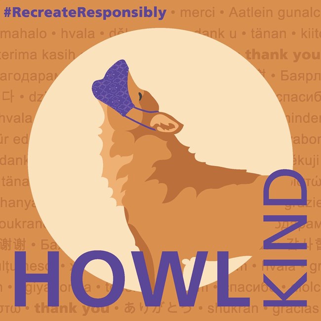 Illustration of a howling wolf wearing a face mask. Text reads "#RecreateResponsibly; Be Bold".