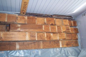 Floorboards are numbered for reassembly in original locations.