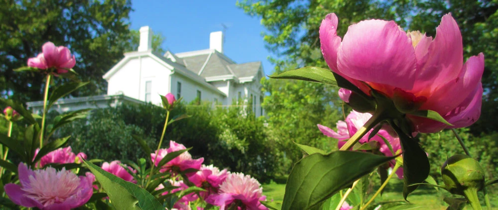 Flora around the Truman Home