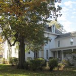 shingle-oak