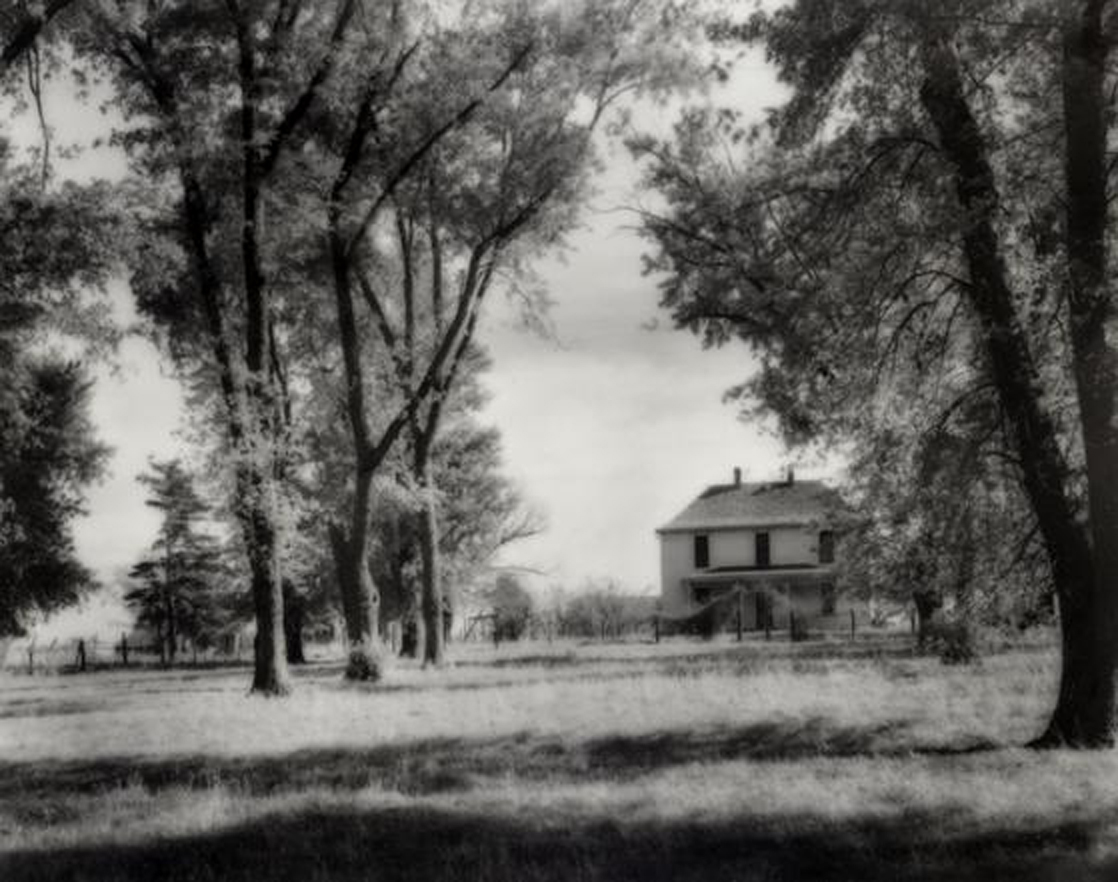 The Truman Farm Home The Truman Farm Home Framed by Trees