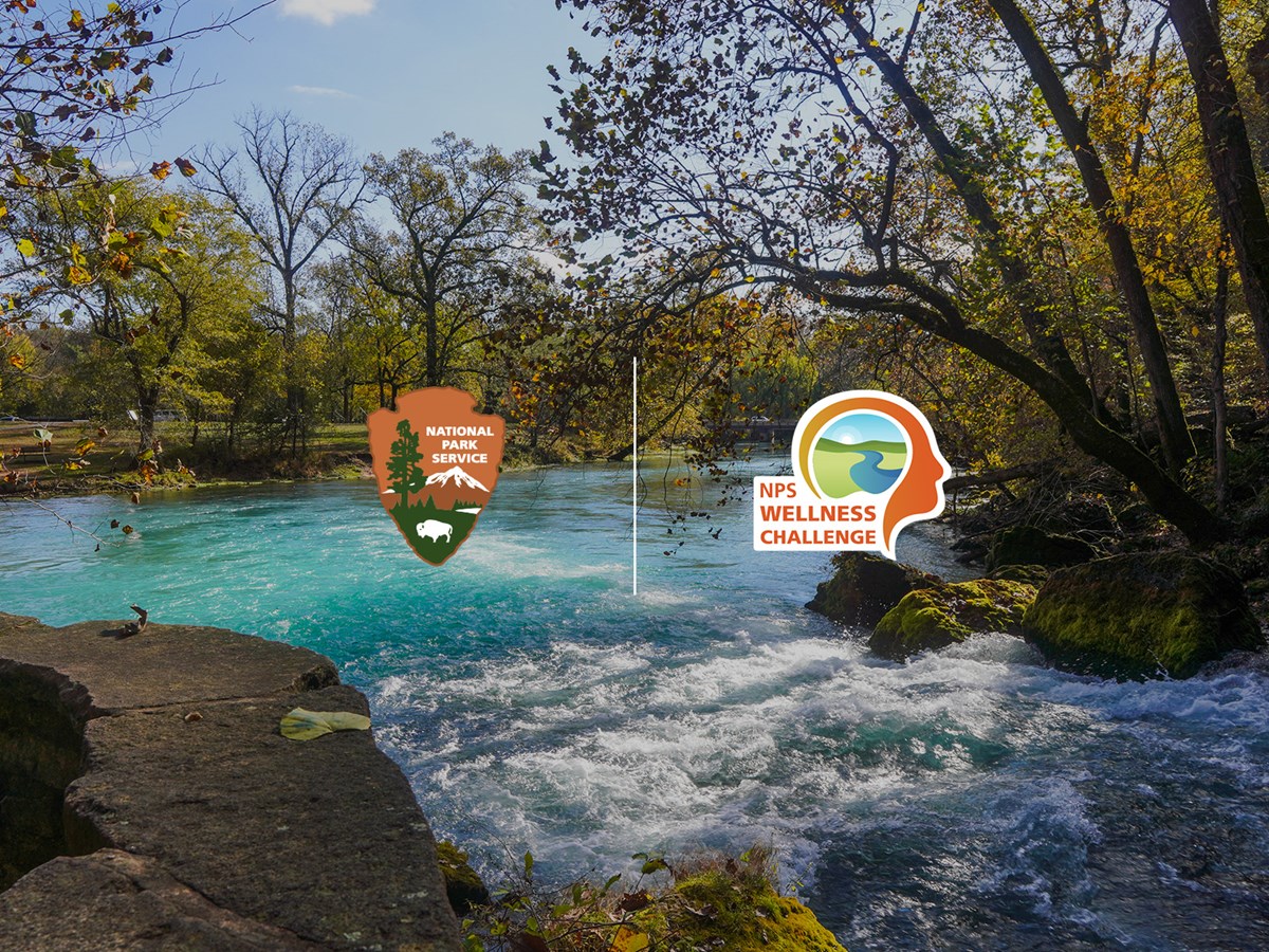 The NPS Missouri Wellness Challenge! NPS Arrowhead, Wellness Logo, stream and forest