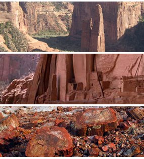 Canyon de Chelly National Monument
Navajo National Monument
Petrified Forest National Park