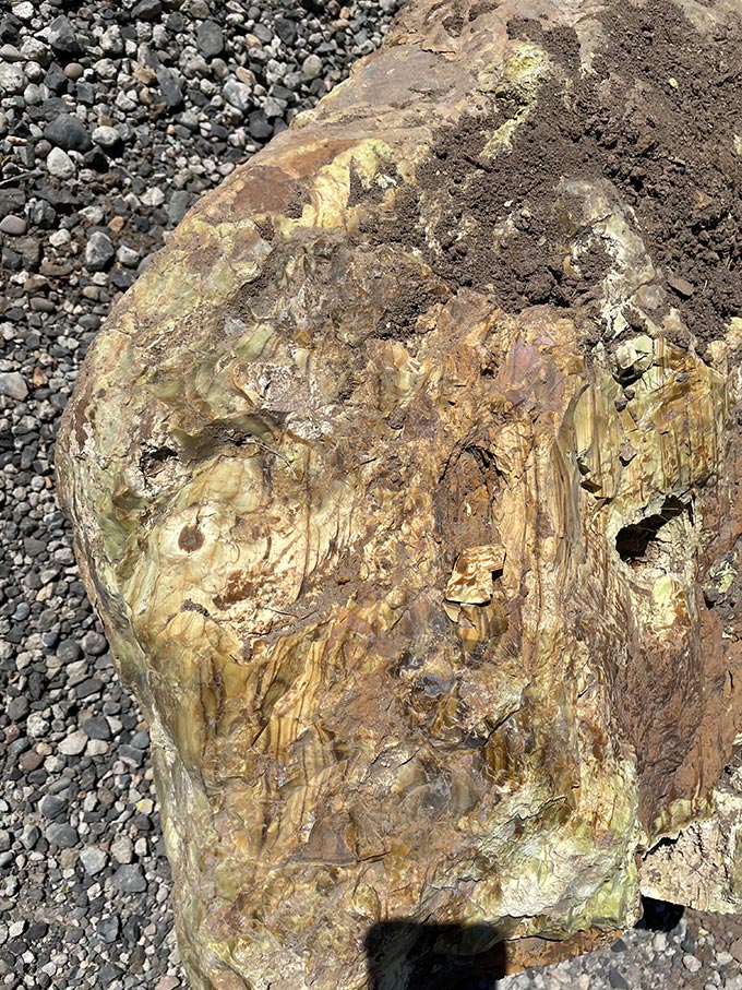 Tualatin_Ice_Age_Erratic_07 Rare Rhyolite Erratic found in Tualatin, Oregon