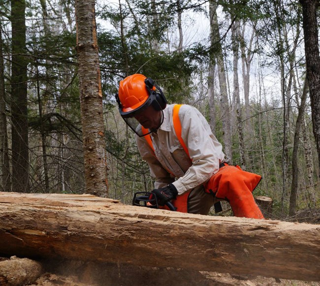 Sometimes volunteers must use chainsaws.