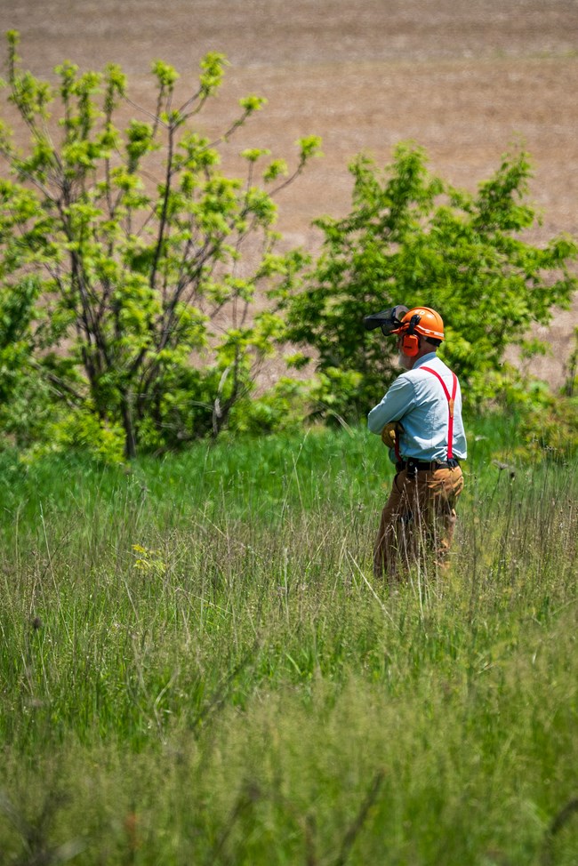 Photograph of man standing in field viewed from side wearing personal protective equipment.