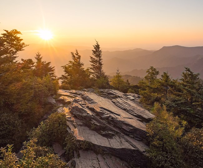 Sunrise over the mountains with trees and a rockface in the foreground.